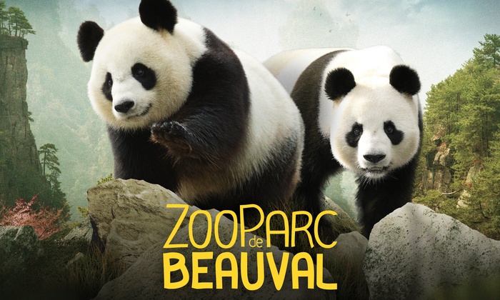 Zoo de Beauval à 45mn