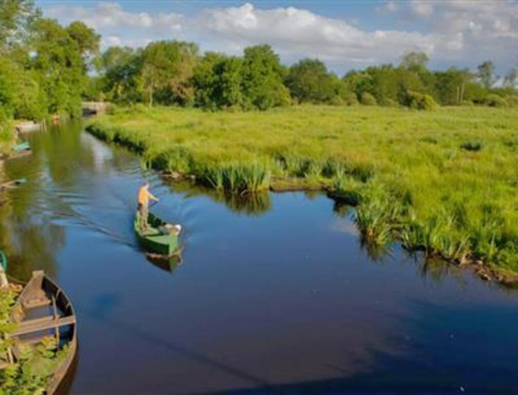 Marais de Brière