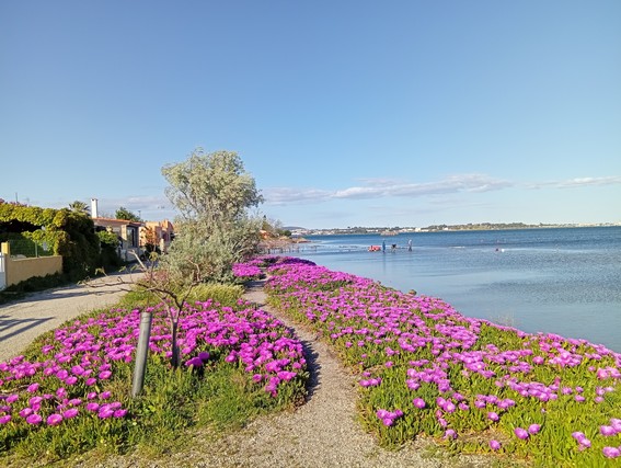 chemin partanr de la maison qui mène au centre ville