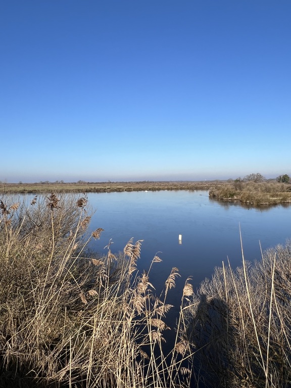 Domaine de Certes et Graveyron