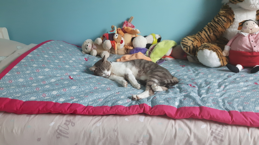 Max, votre futur hôte