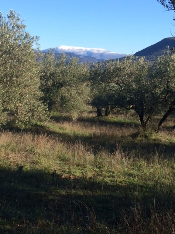 Le Mt Ventoux