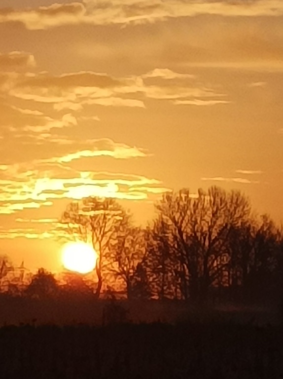 Notre grand bonheur, admirer le ciel