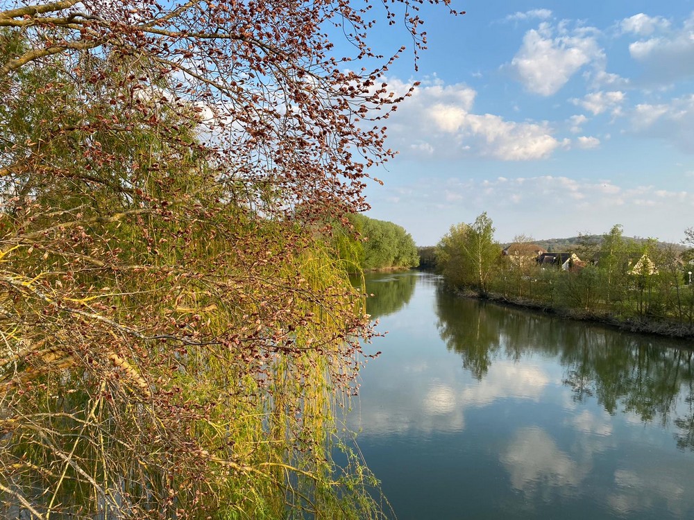 La Seine à proximité