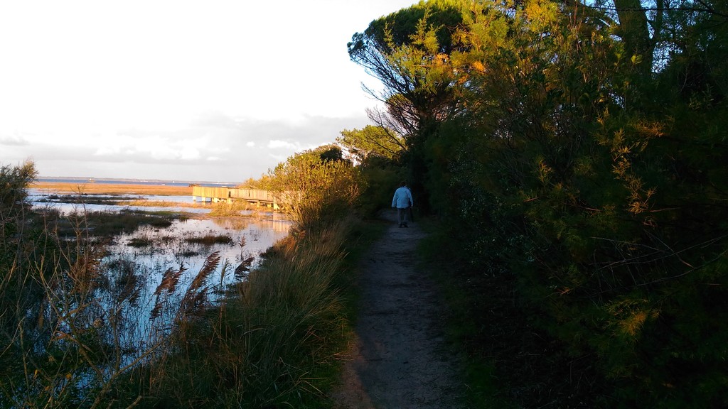 chemin côtier