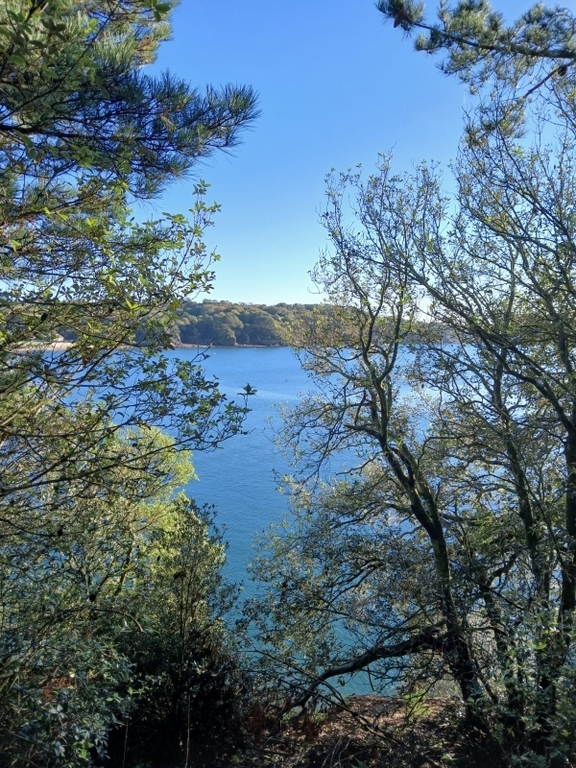 Estuaire de la Rance