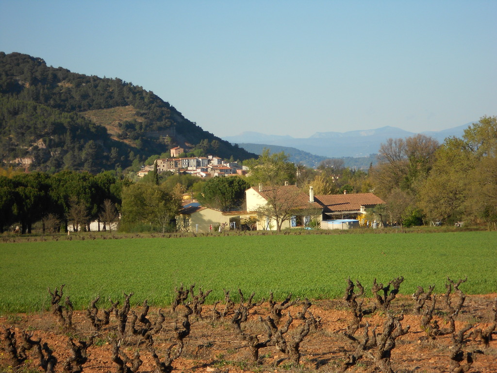 Le village de Gonfaron