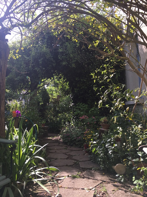 jardin devant la maison au printemps
