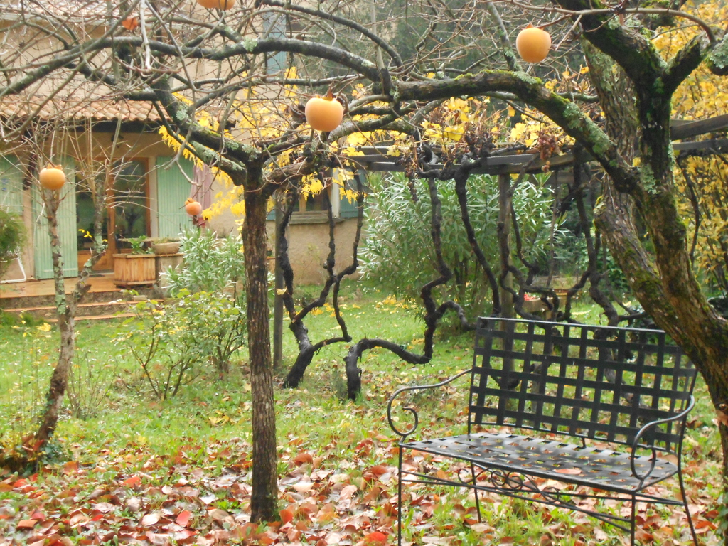 Le jardin
