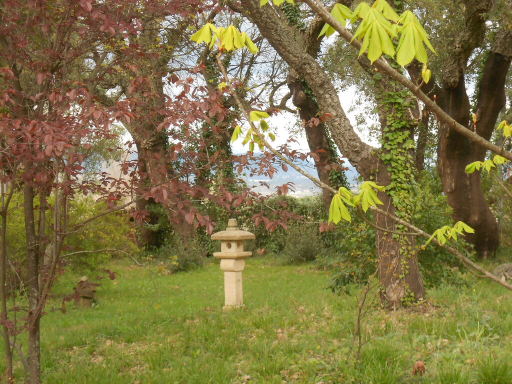 Le jardin au printemps