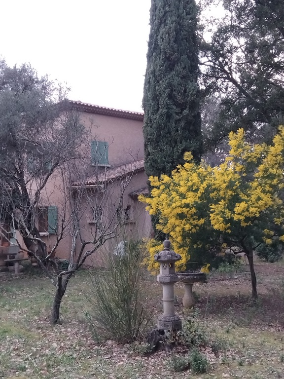 La maison face Est