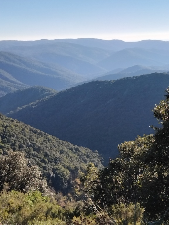 Le massif des Maures