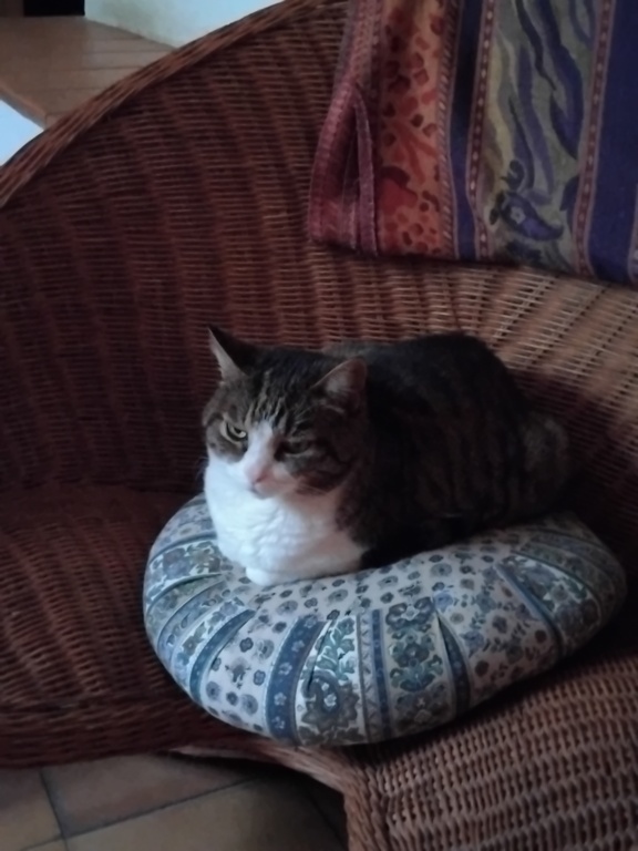 Notre Minette