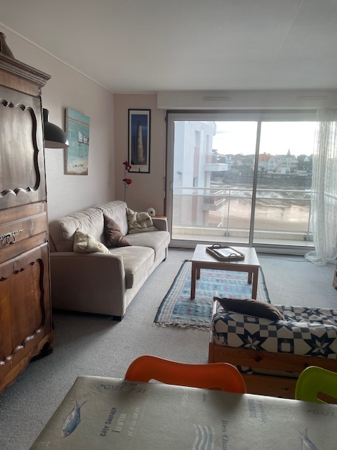 Séjour ; canapé -lit