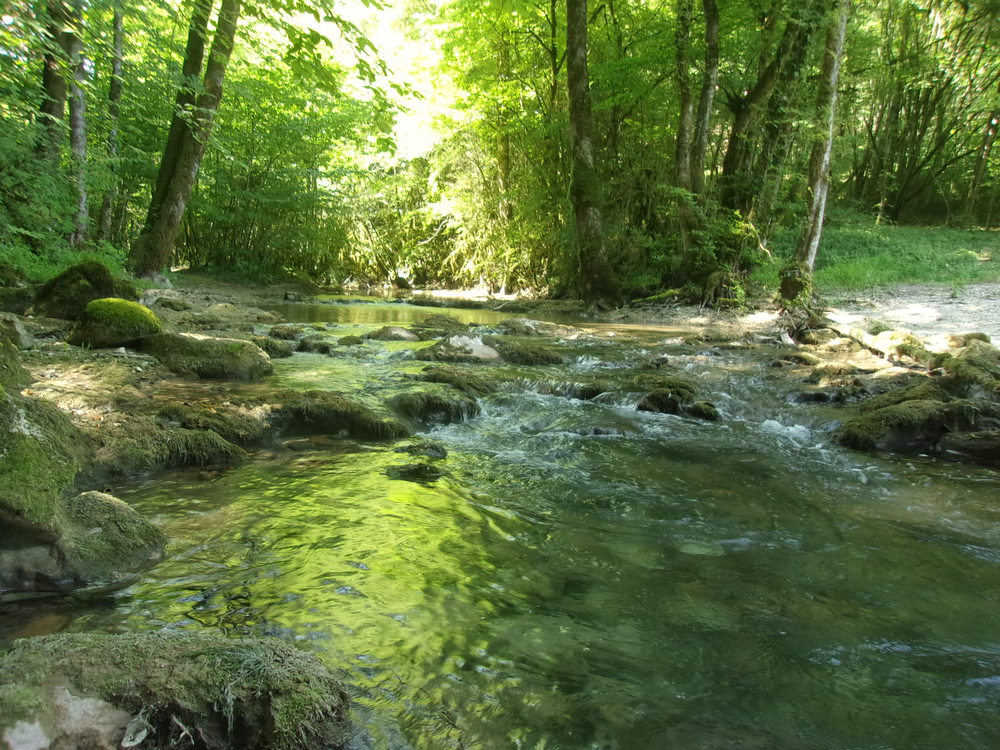 Ruisseau suivant la cascade du Dard 10 km de Belley