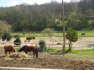 Ecuries en bas de chez nous