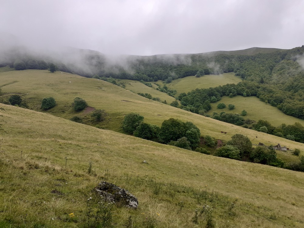 Paysages après une balade de 15 mn à pied de la maison