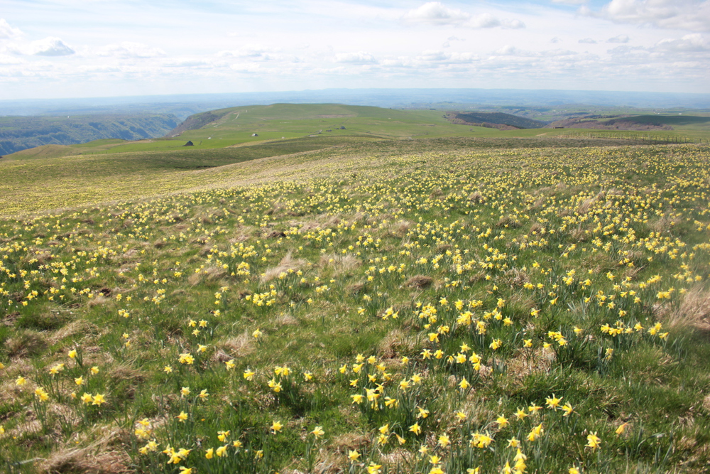 Col d'Aulac au printemps