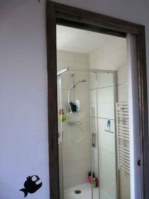Le coin douche 2  au RDC