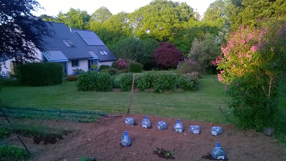 photo prise dans le cadran sud ouest, à hauteut du petit jardin potager