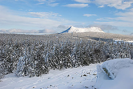 le Mézenc l'hiver