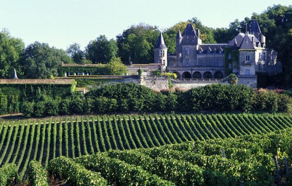 Les vignobles et les châteaux