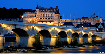Amboise, château royal (25 km)