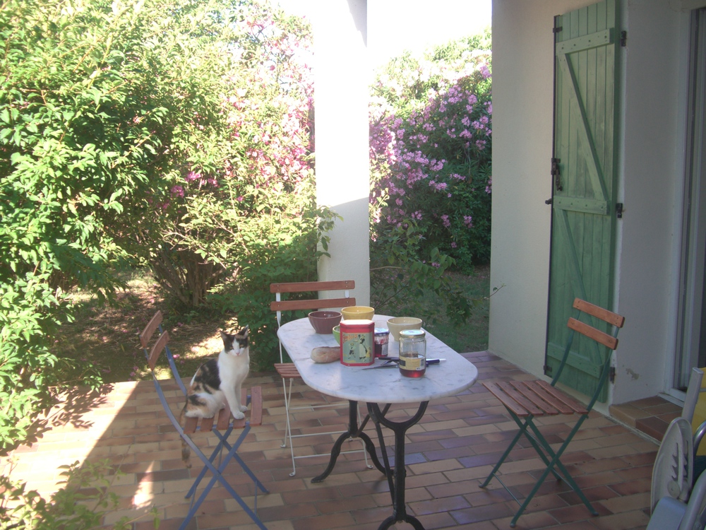 Une autre terrasse pour le petit déjeuner