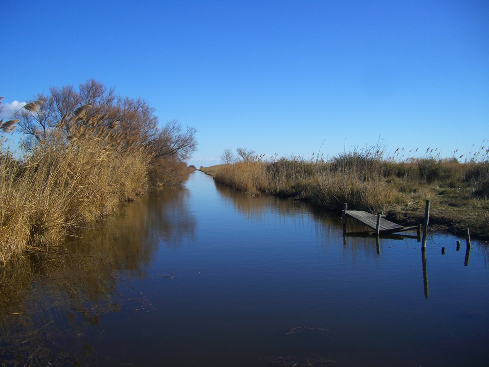 paysage de camargue