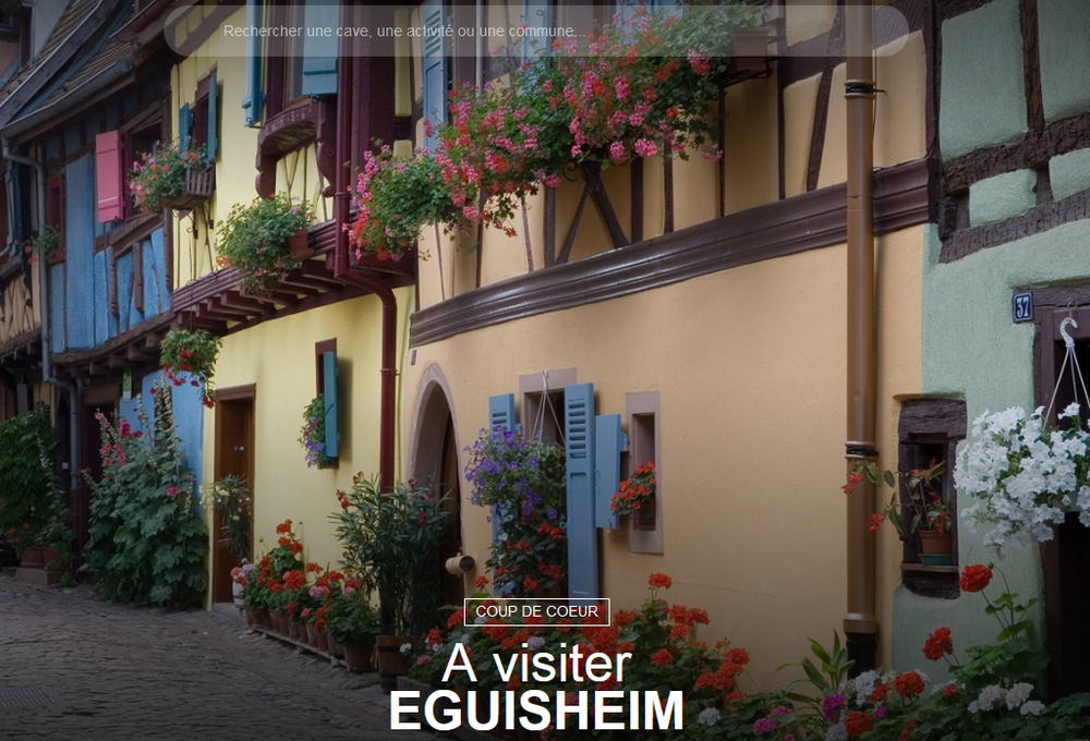 4 des plus beaux villages de France : Eguisheim, Kayersberg, Riquewihr, Ribeauvillé