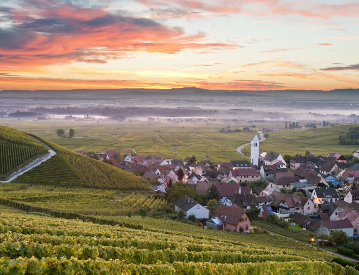 La route des vins et ses paysages_www.routedesvins.alsace