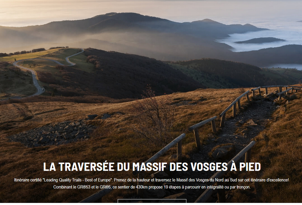 Des kilométres de sentiers de randonnée_www.visit.alsace/activites-et-loisirs/randonnees-balades/