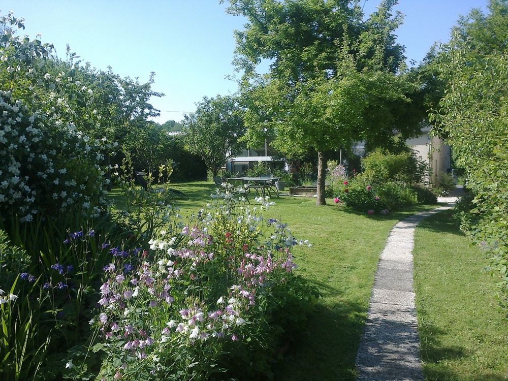 Le fond du jardin.