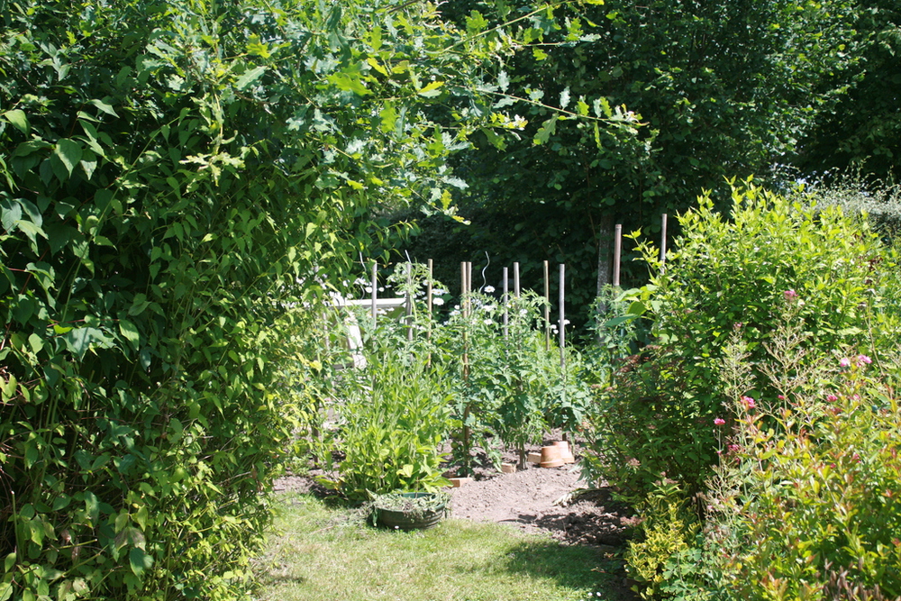 Le potager