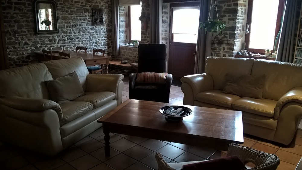 Séjour, salon avec cheminée à foyer