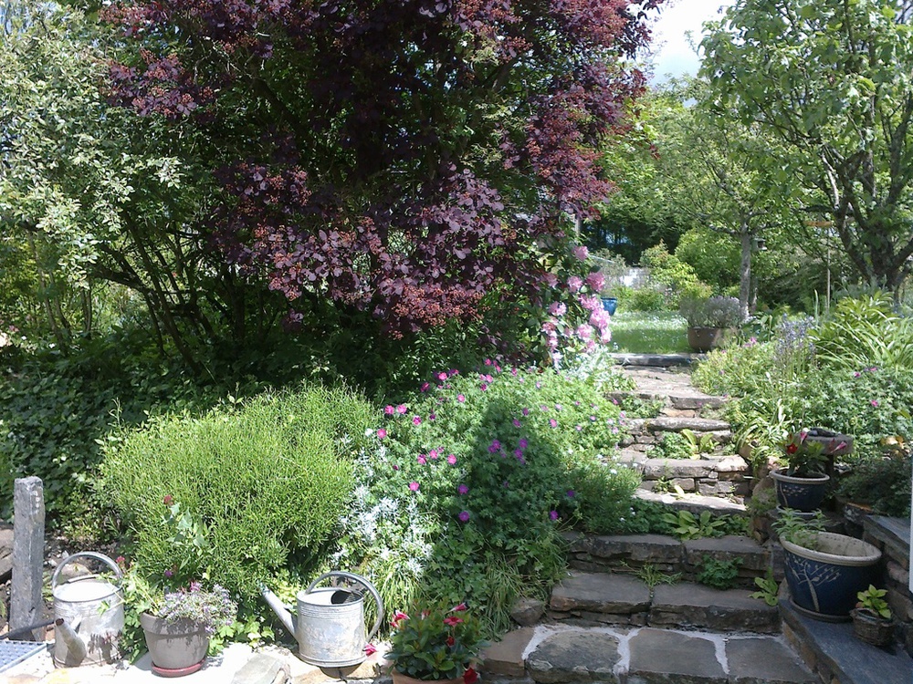Escalier d'accès au jardin depuis la terrasse.