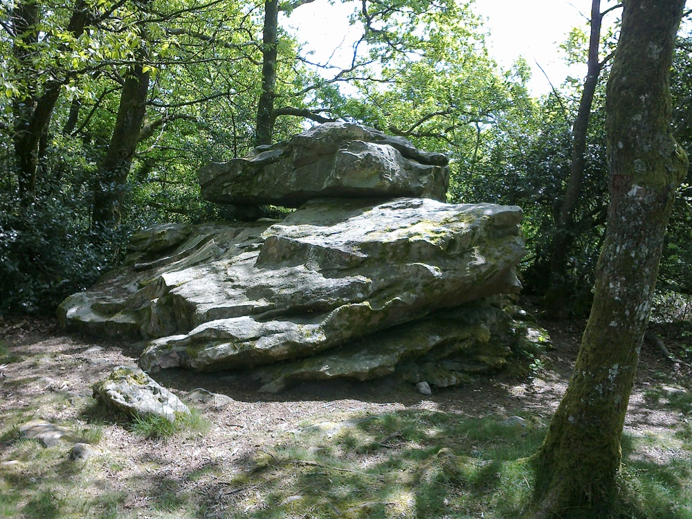 Chemin de randonnée en forêt de Charnie