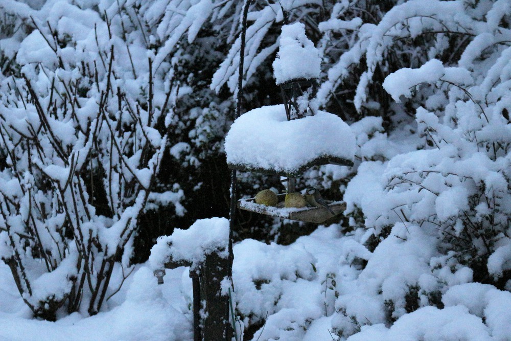 Un épisode de neige...