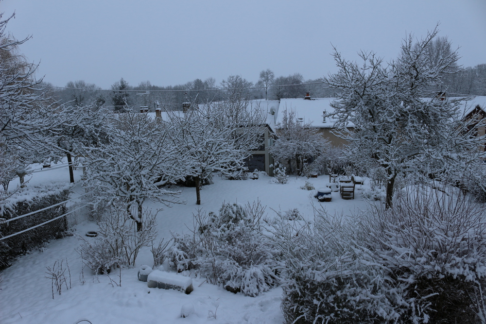 Vue du jardin sous la neige.