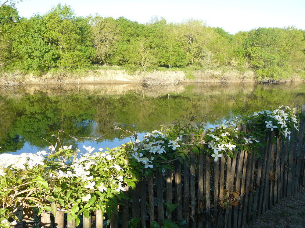 Vue du jardin sur la rivière