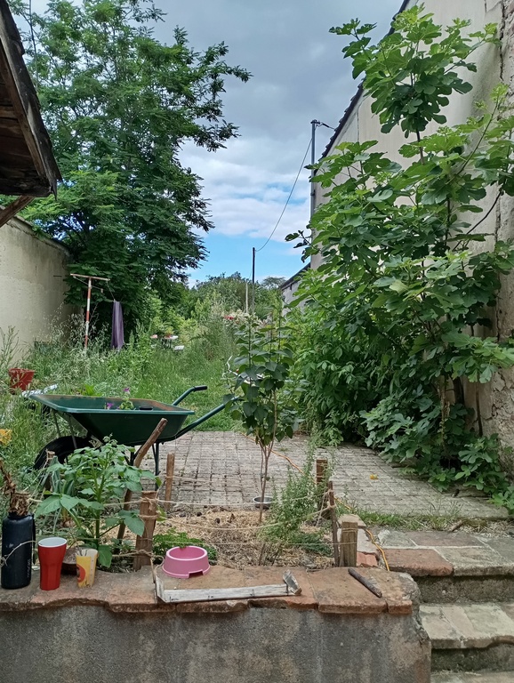 Jardin
