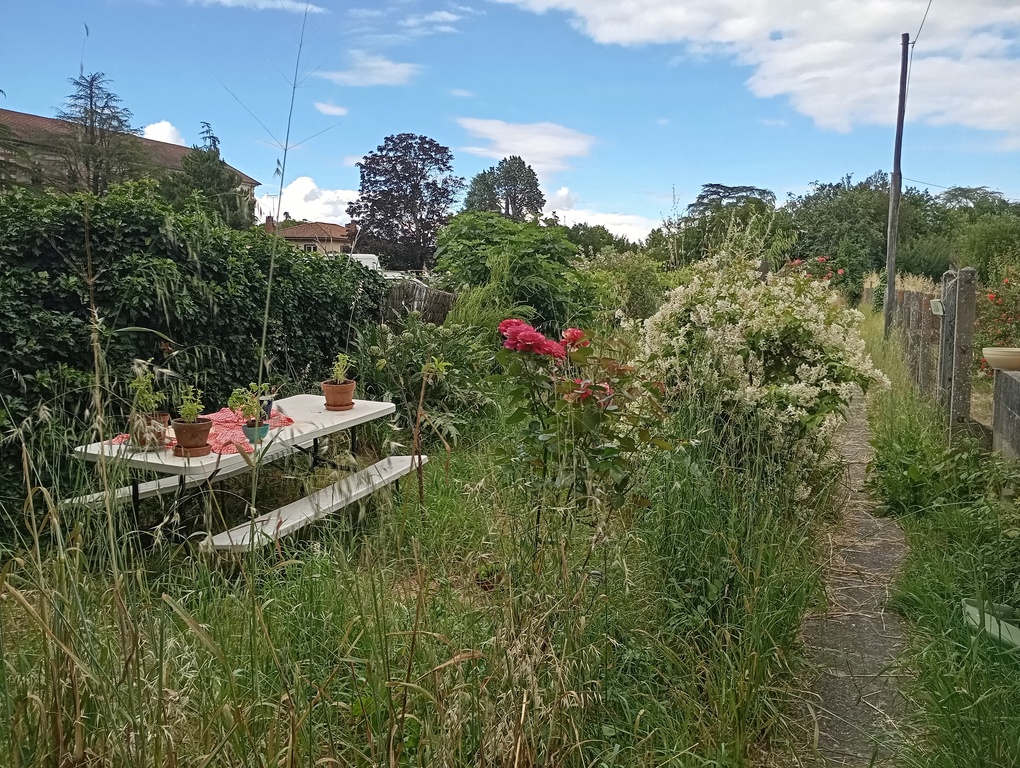 Jardin