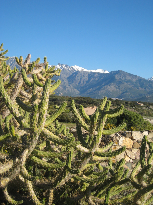 Vue depuis l'Arinella (Lumio)