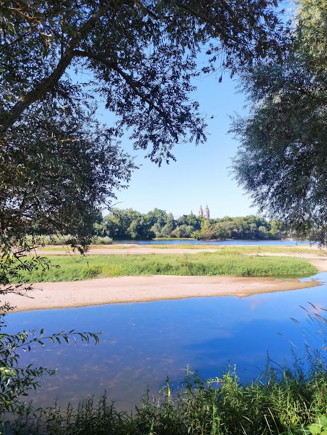 Bord de Loire, au loin la cathédrale
