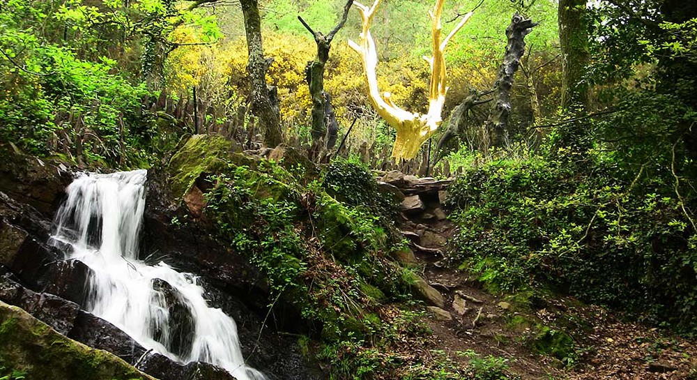 la forêt de Brocéliande - à 28kms
