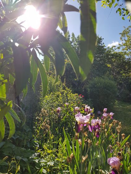 fleurs et petits potager au jardin