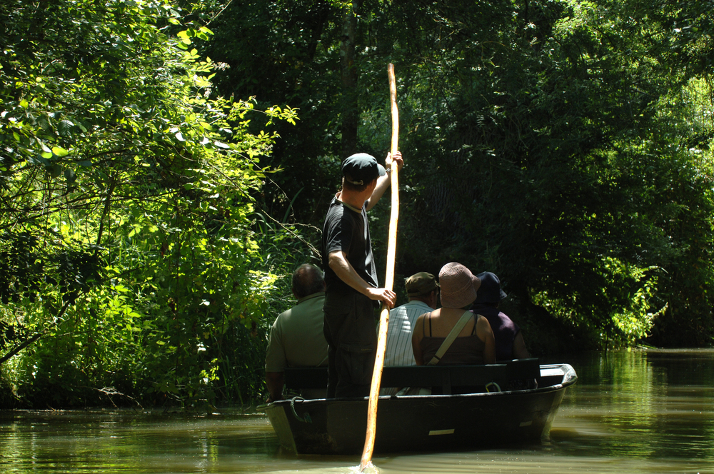 Une visite en barque à faire dans le Marais poitevin à 10 minutes