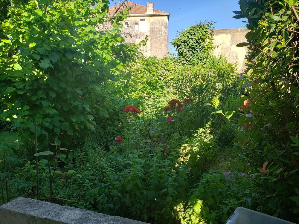 le jardin derrière, aux beaux jours