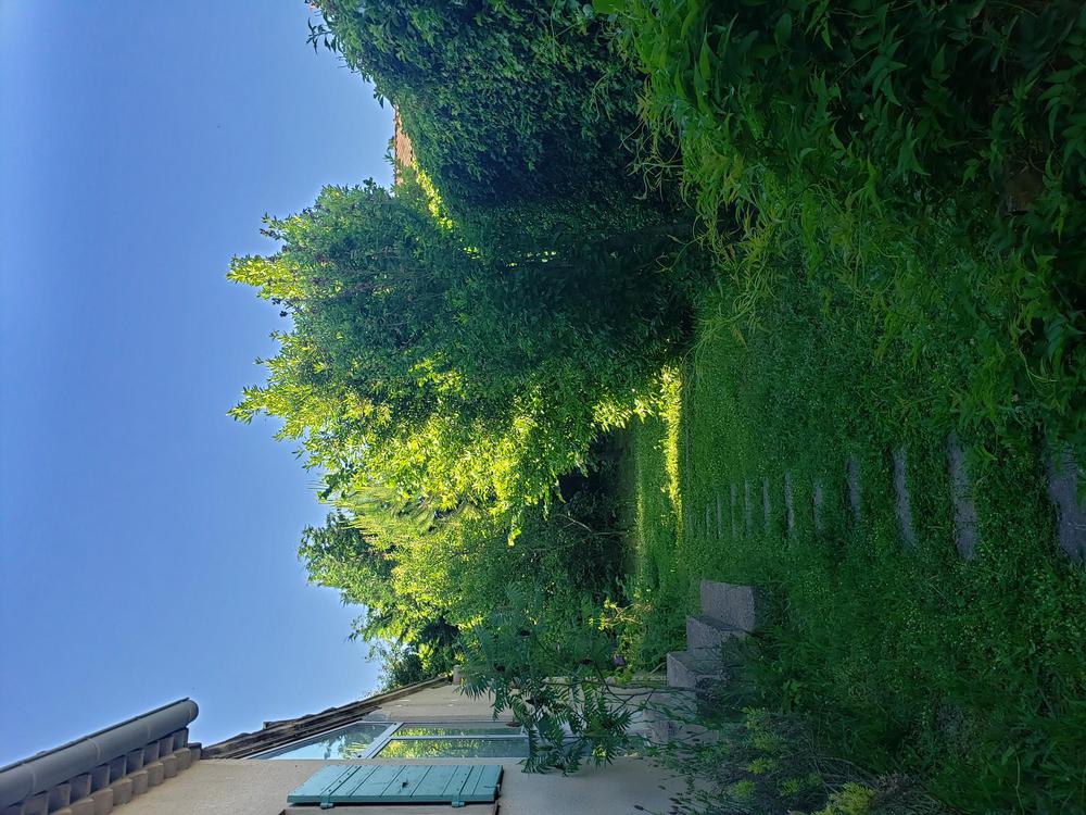 le jardin, sur le côté, aux beaux jours