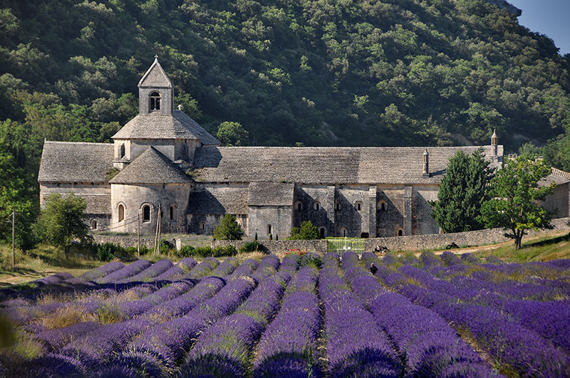 abbaye de Sénanque